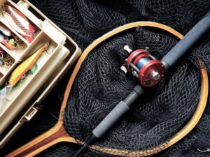 Diamond Sports Gear: Everything You Need to Know