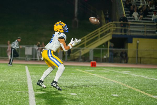 NFL betting predictions
